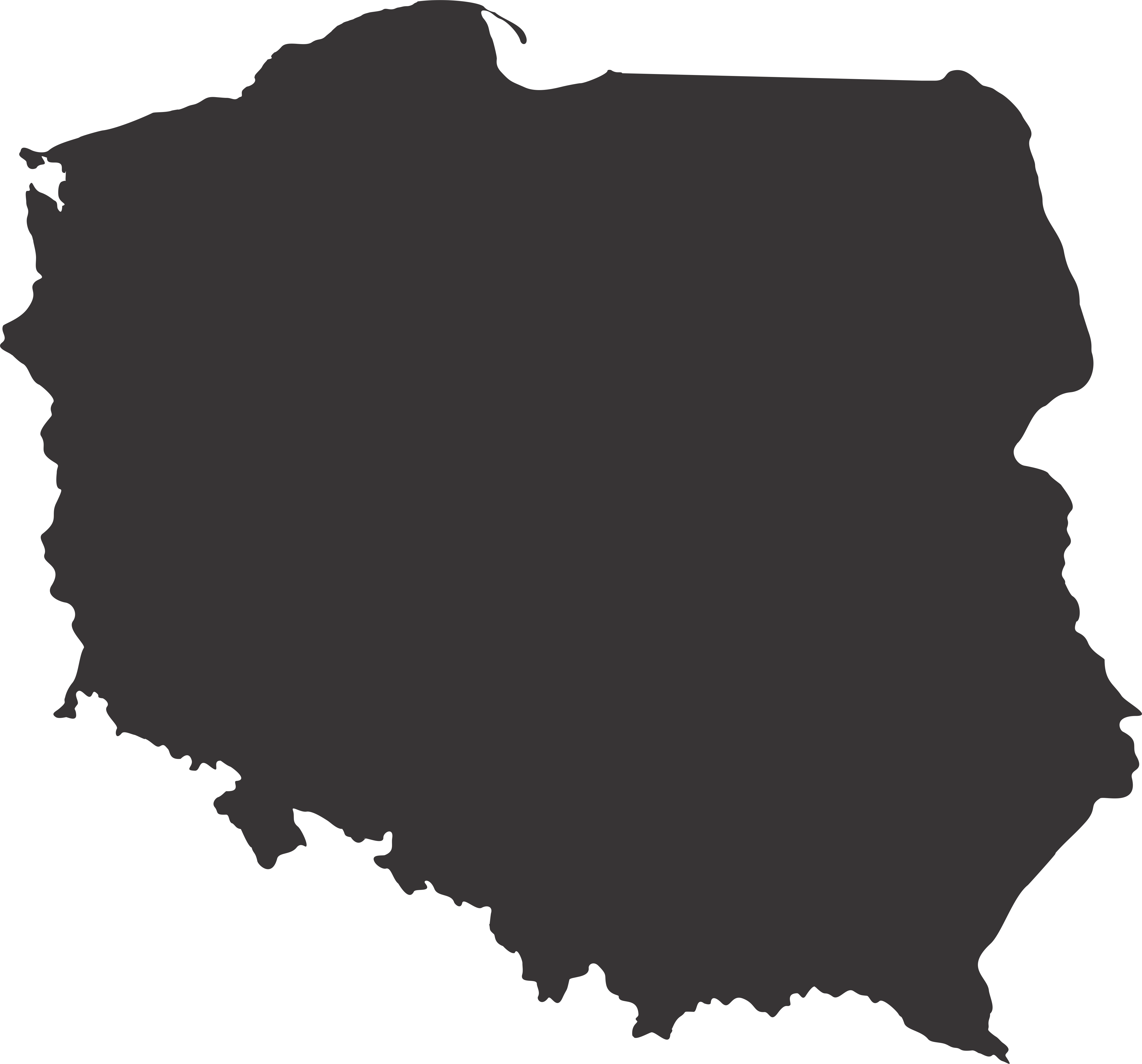 Polska marka